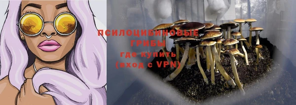 ГАЛЛЮЦИНОГЕННЫЕ ГРИБЫ Нефтекумск